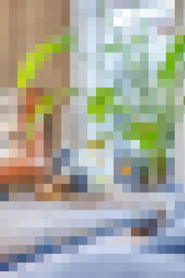 Wielewaal 11 Hoogkarspel thumbnail 15