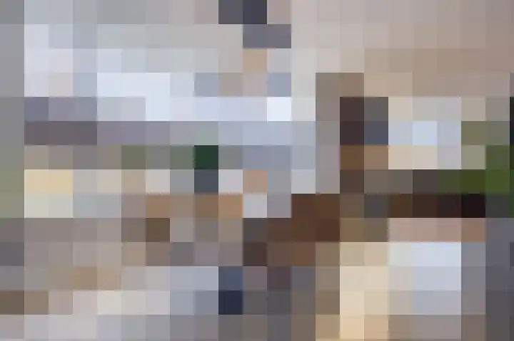 Wielewaal 11 Hoogkarspel thumbnail 17