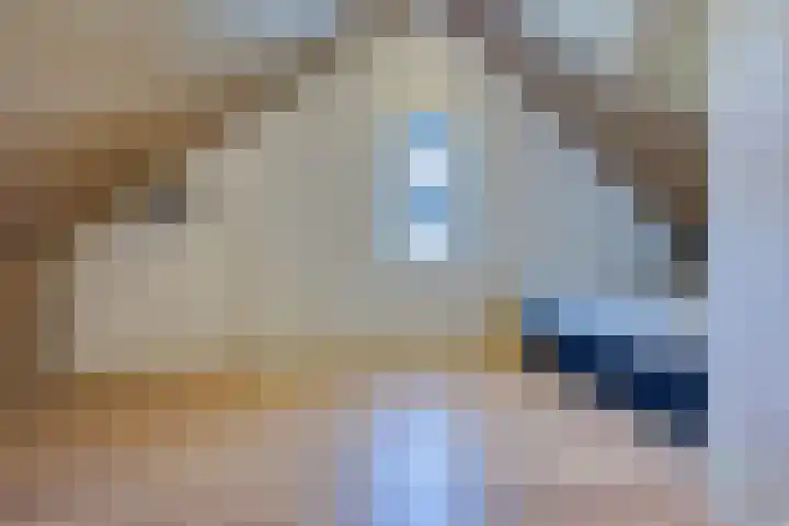 Wielewaal 11 Hoogkarspel thumbnail 35