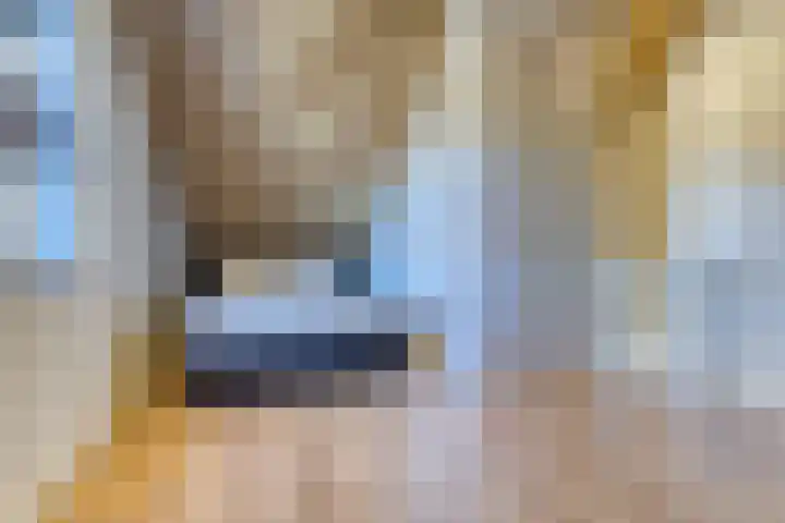 Wielewaal 11 Hoogkarspel thumbnail 36