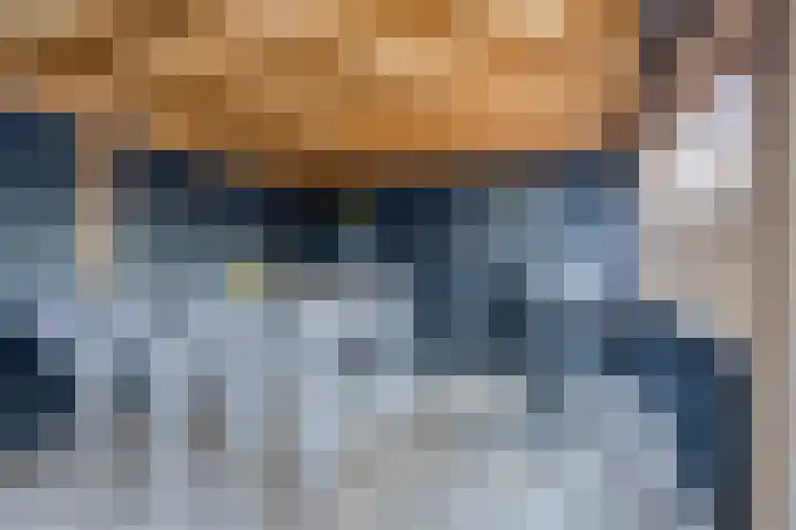 Wielewaal 11 Hoogkarspel thumbnail 45