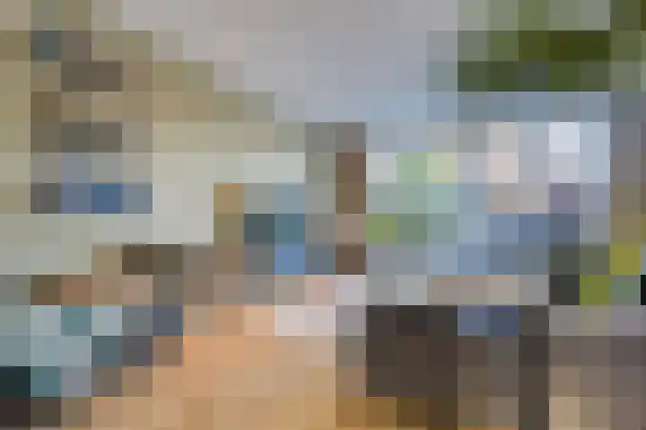 Wielewaal 11 Hoogkarspel thumbnail 9
