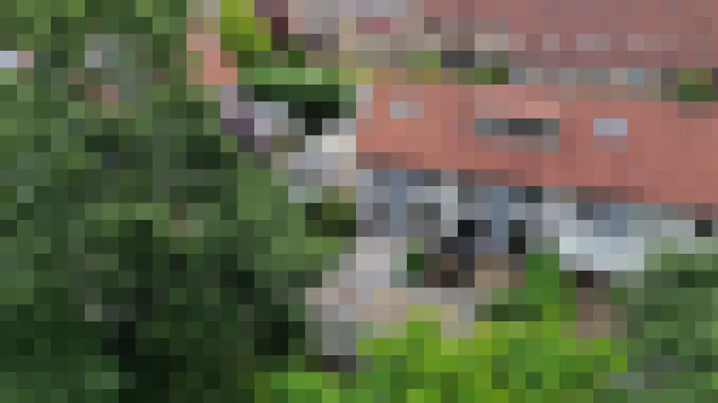 Wielewaal 128 Ermelo thumbnail 37