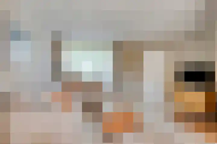 Wielewaal 14 Etten-Leur thumbnail 12