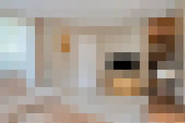 Wielewaal 14 Etten-Leur thumbnail 13