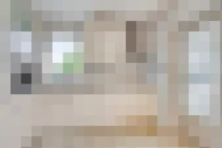Wielewaal 14 Etten-Leur thumbnail 19