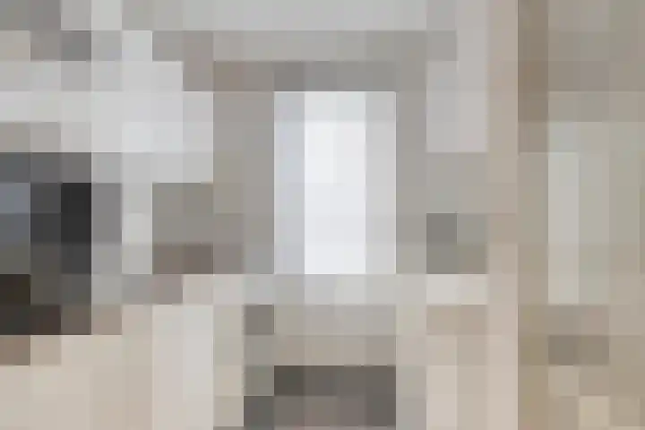 Wielewaal 14 Etten-Leur thumbnail 20