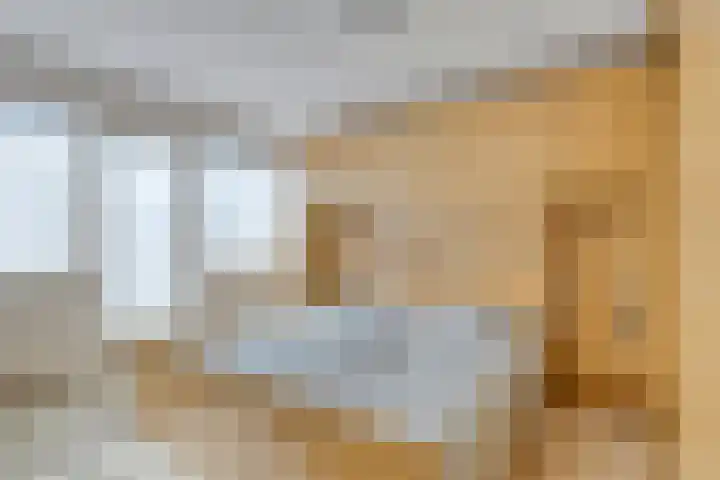 Wielewaal 14 Etten-Leur thumbnail 26