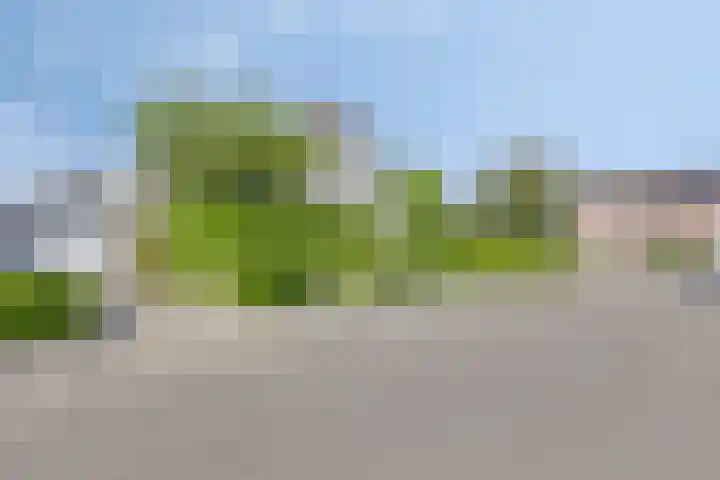 Wielewaal 14 Etten-Leur thumbnail 9
