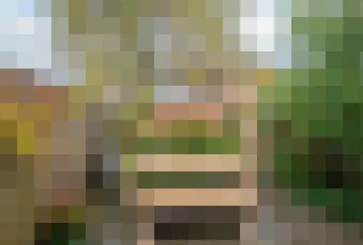 Wielewaal 146 Ermelo thumbnail 17