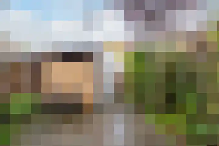 Wielewaal 146 Ermelo thumbnail 18