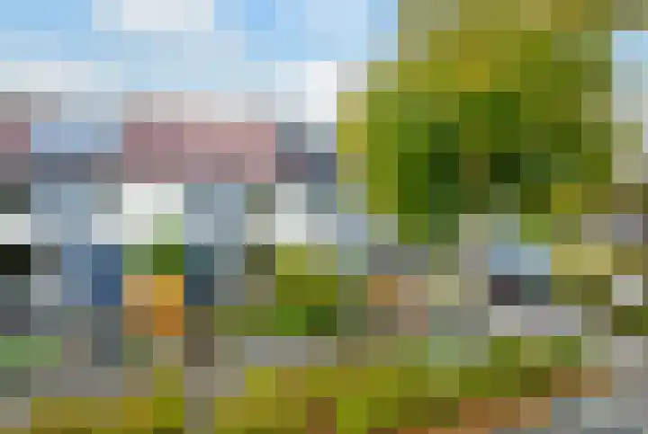 Wielewaal 146 Ermelo thumbnail 19