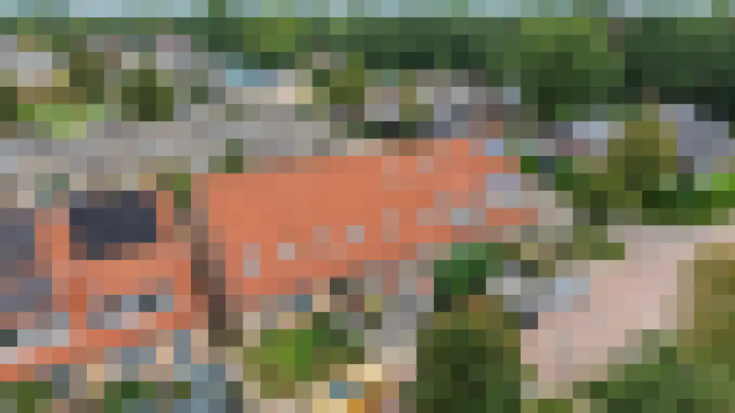 Wielewaal 151 Ermelo thumbnail 30