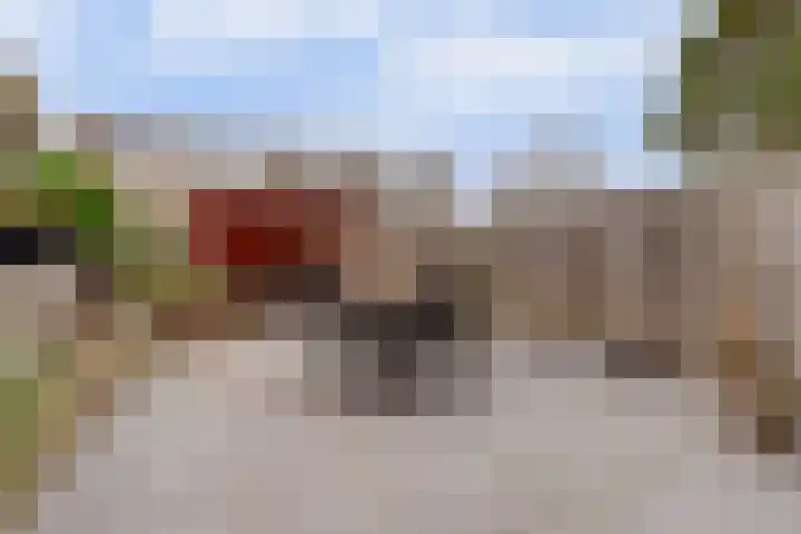 Wielewaal 16 Nieuwegein thumbnail 12