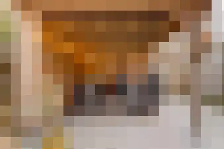 Wielewaal 16 Nieuwegein thumbnail 13