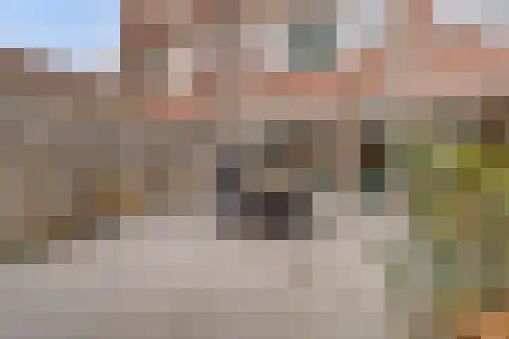 Wielewaal 16 Nieuwegein thumbnail 16