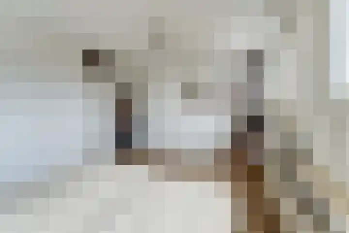 Wielewaal 16 Nieuwegein thumbnail 27
