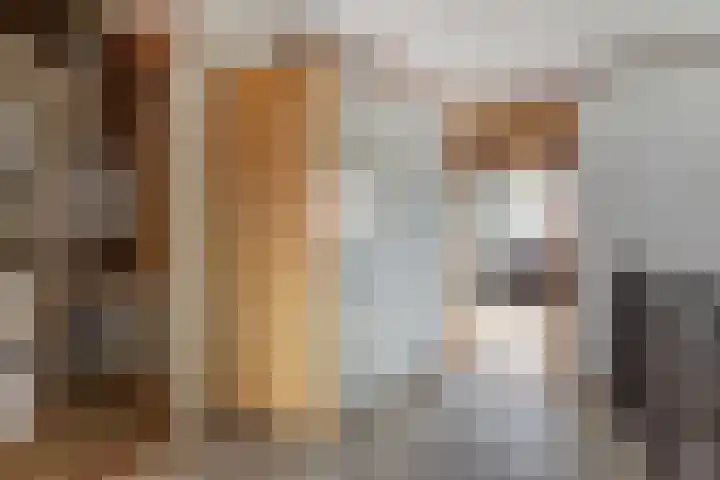 Wielewaal 16 Nieuwegein thumbnail 39