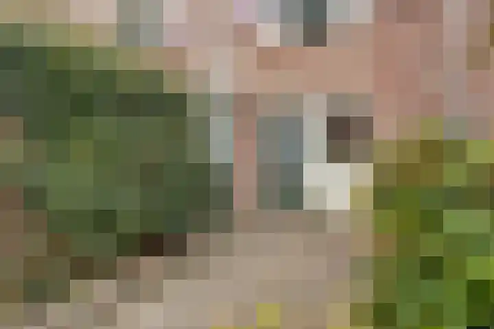 Wielewaal 16 Nieuwegein thumbnail 46