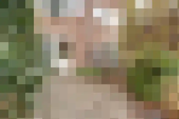 Wielewaal 16 Nieuwegein thumbnail 47
