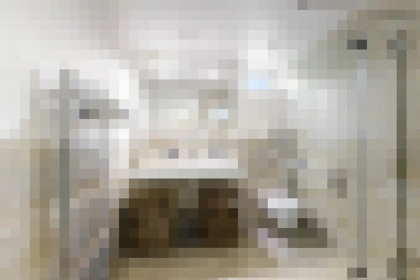 Wielewaal 18 Bergambacht thumbnail 10
