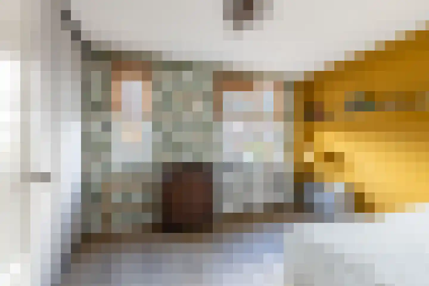 Wielewaal 18 Bergambacht thumbnail 12