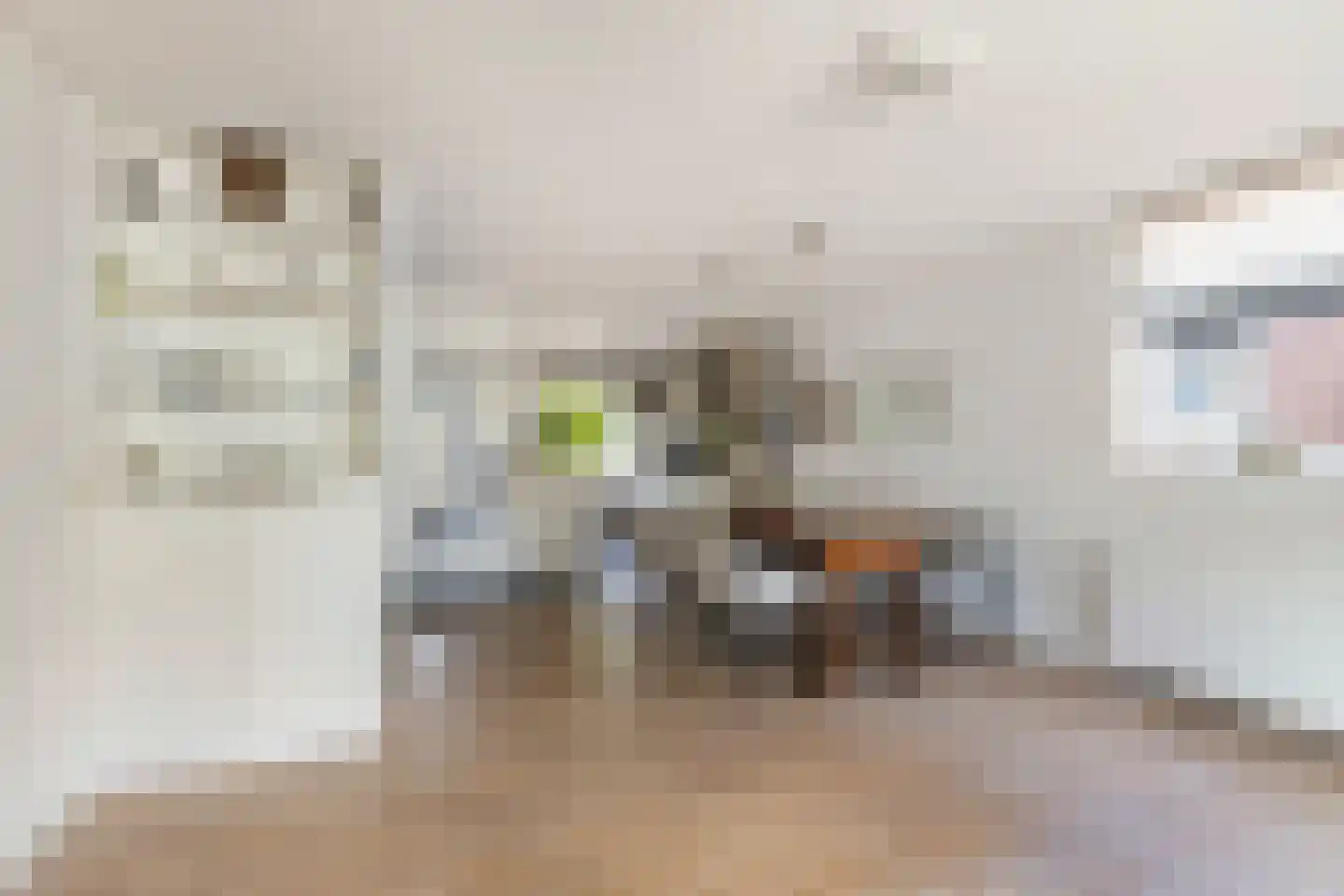 Wielewaal 18 Bergambacht thumbnail 13