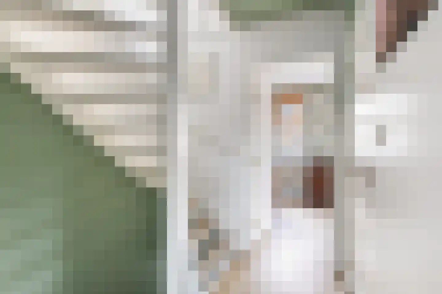 Wielewaal 18 Bergambacht thumbnail 25