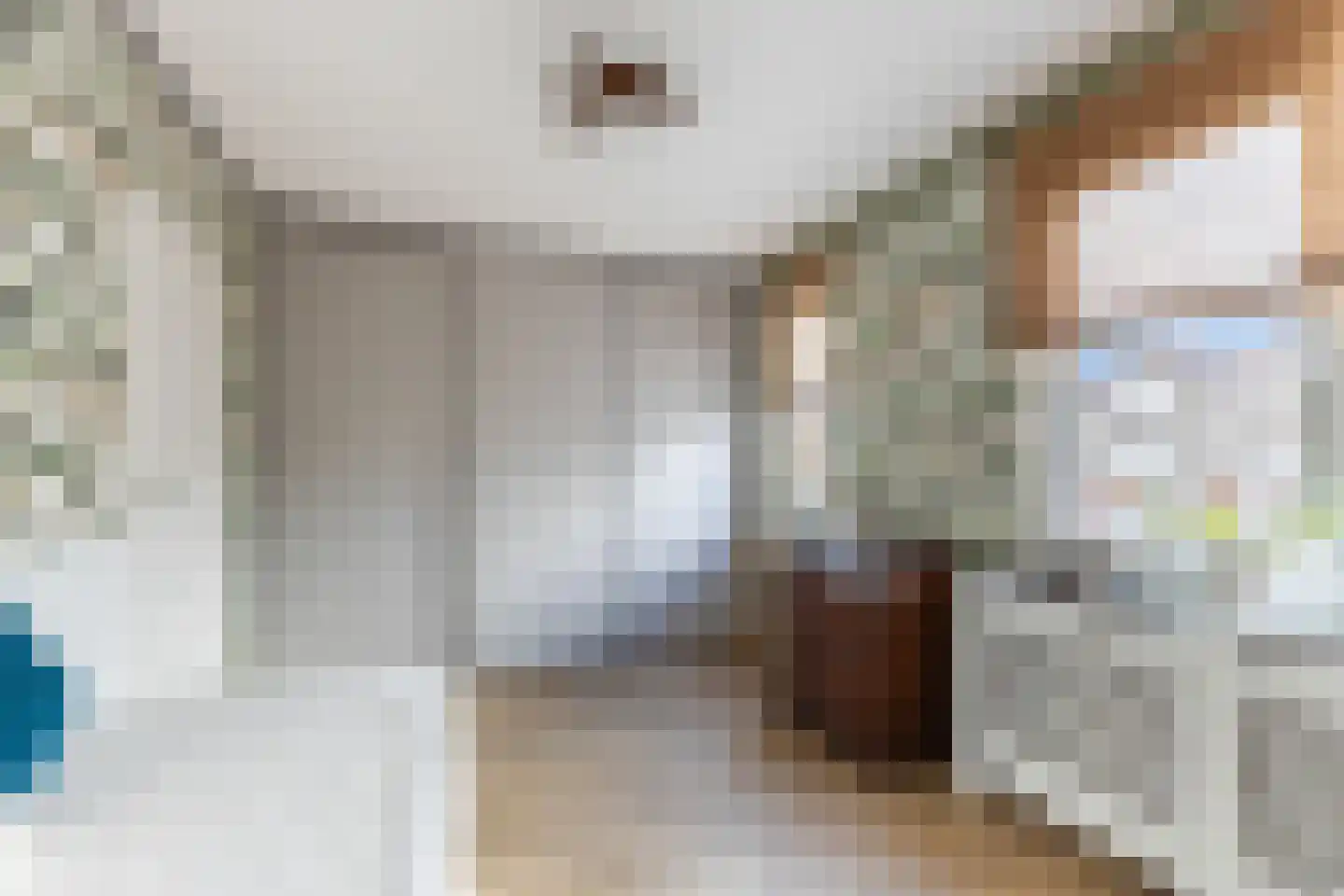 Wielewaal 18 Bergambacht thumbnail 28