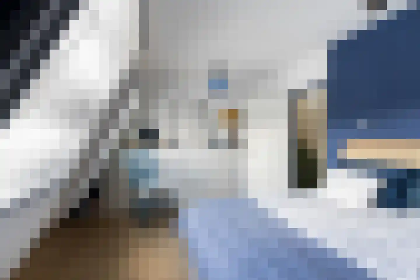 Wielewaal 18 Bergambacht thumbnail 31