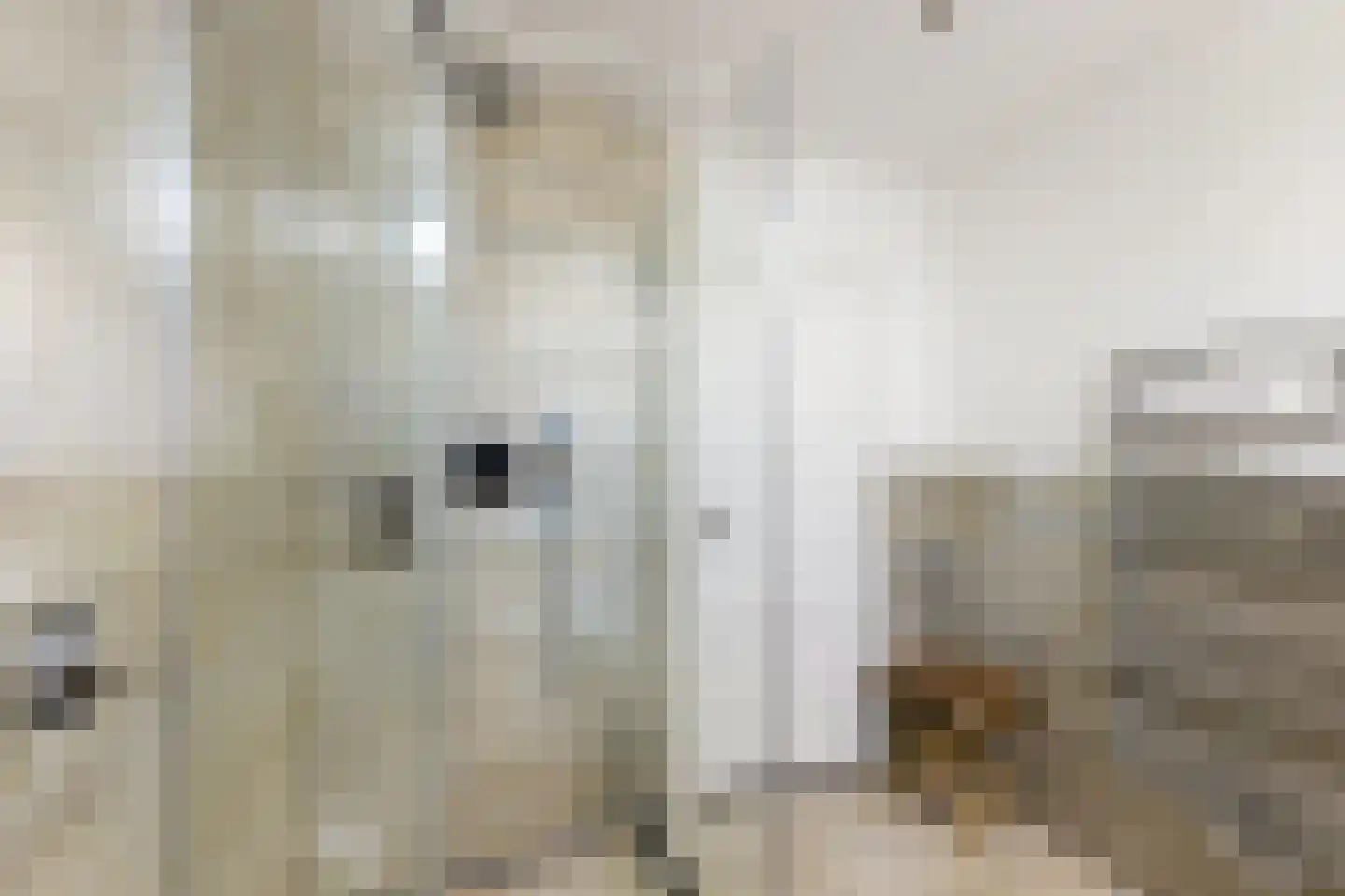 Wielewaal 18 Bergambacht thumbnail 32