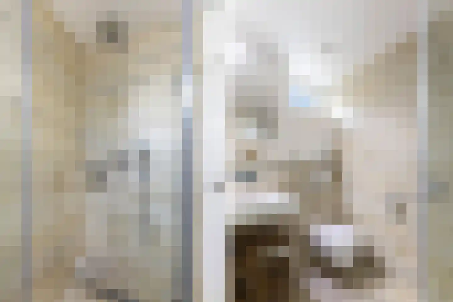 Wielewaal 18 Bergambacht thumbnail 33