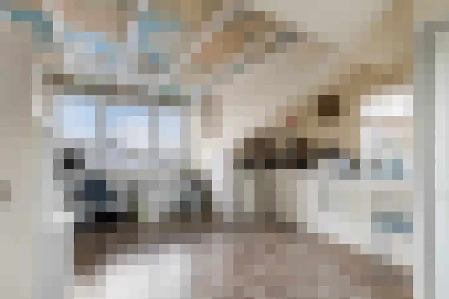 Wielewaal 18 Bergambacht thumbnail 35