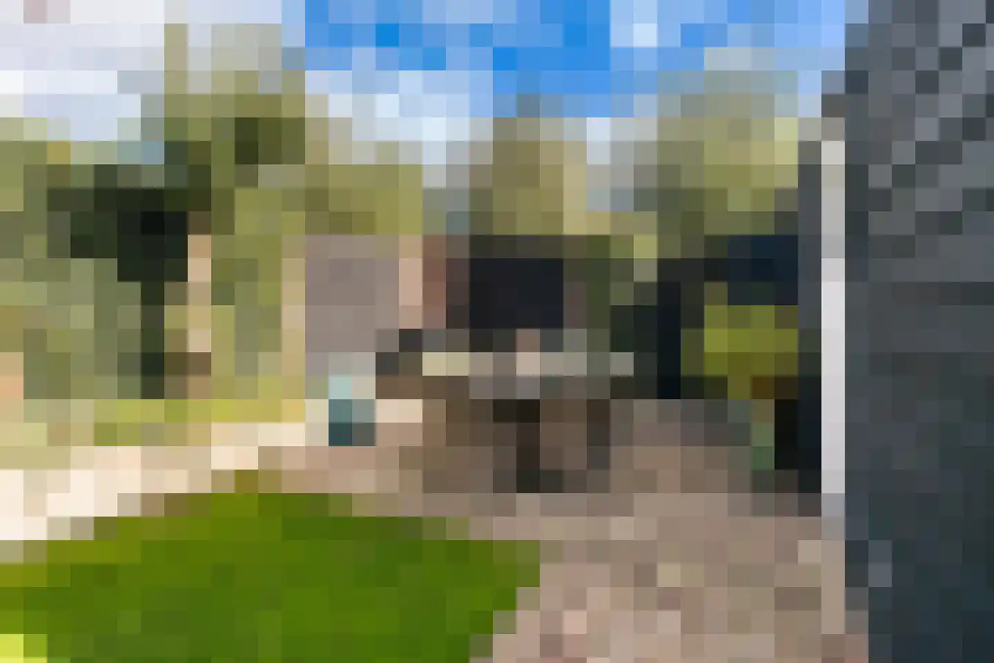 Wielewaal 18 Bergambacht thumbnail 40