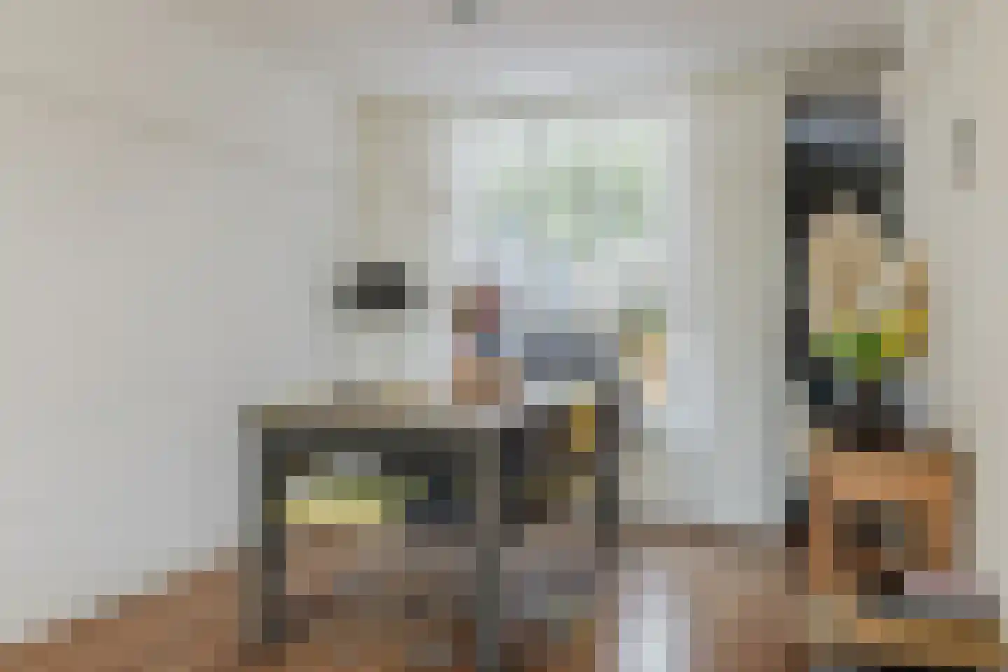 Wielewaal 19 Zundert thumbnail 15