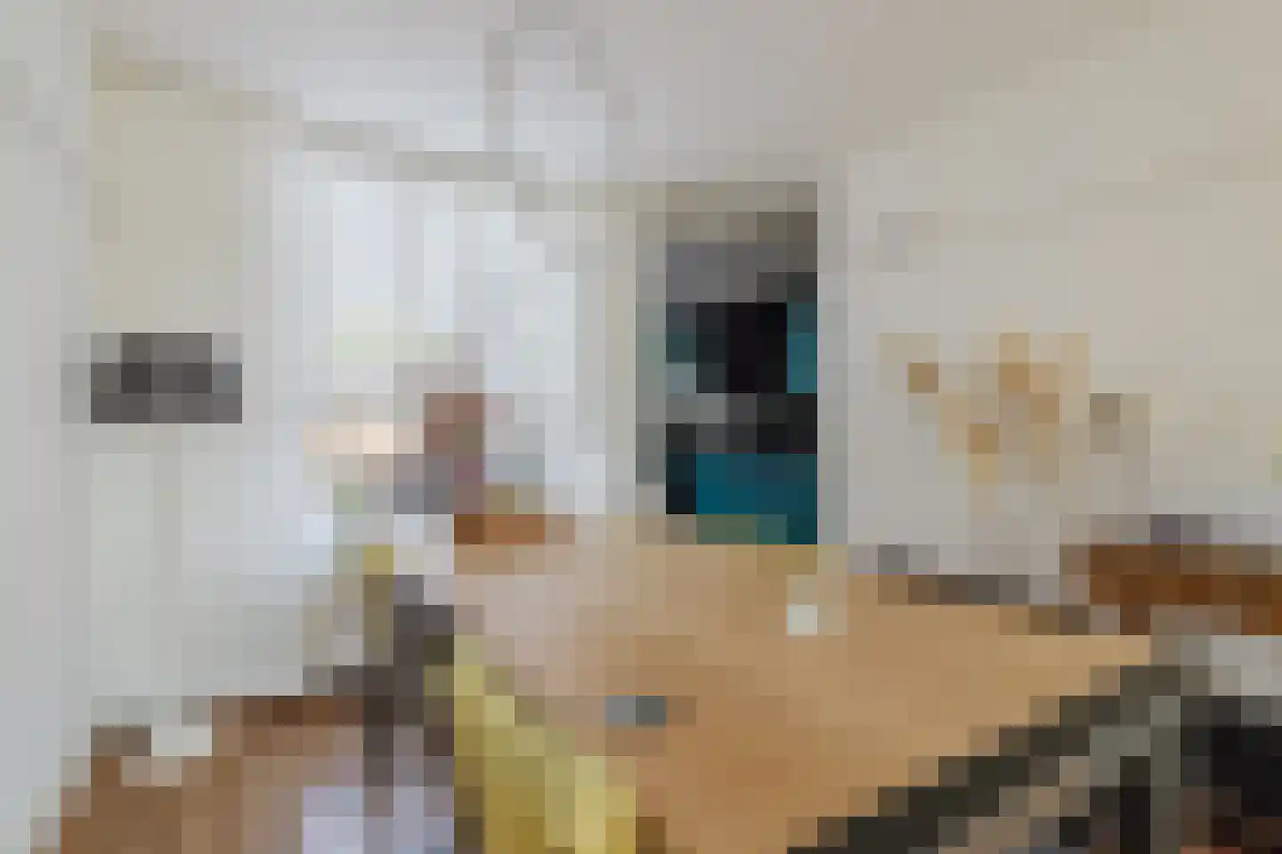 Wielewaal 19 Zundert thumbnail 18