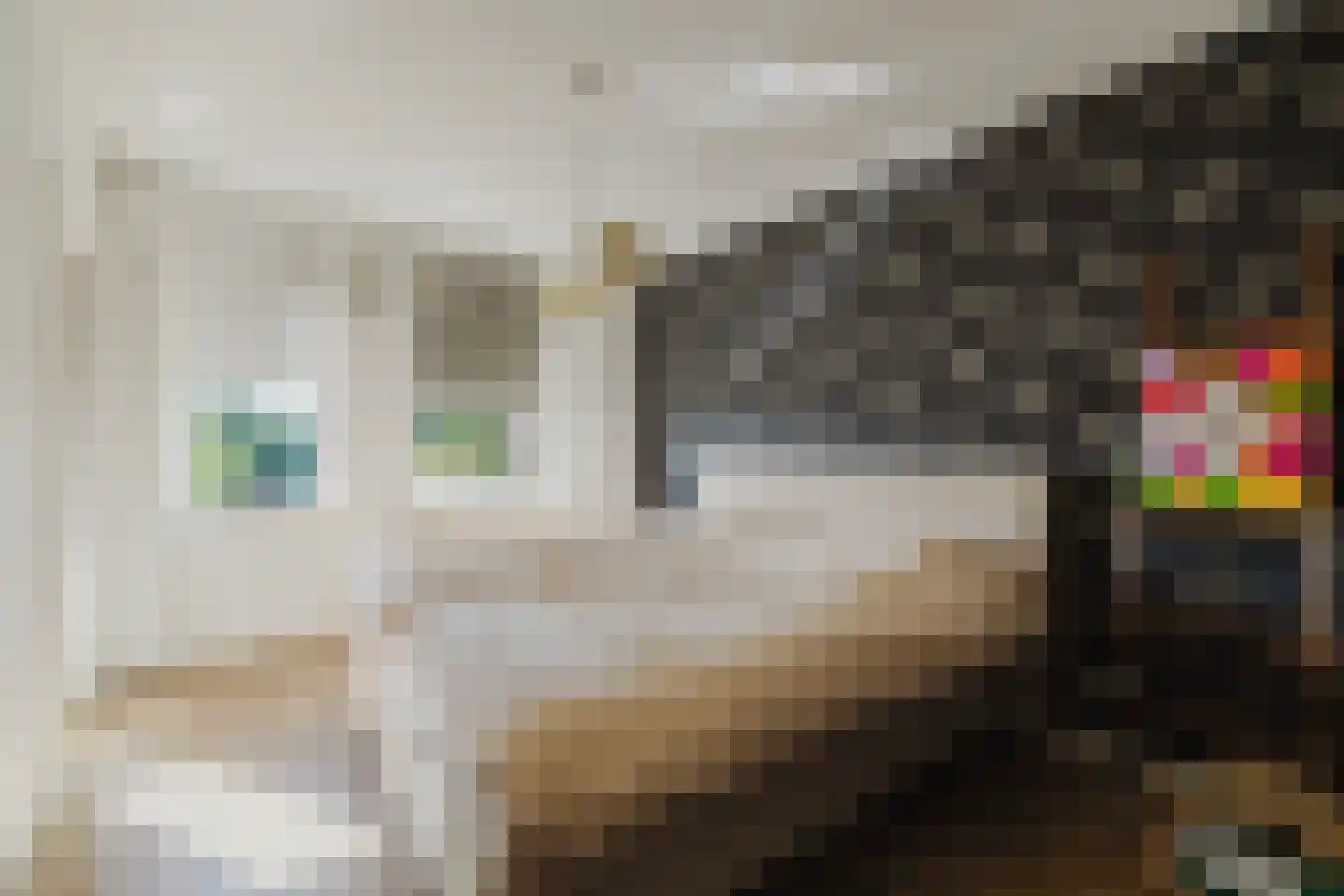 Wielewaal 19 Zundert thumbnail 30