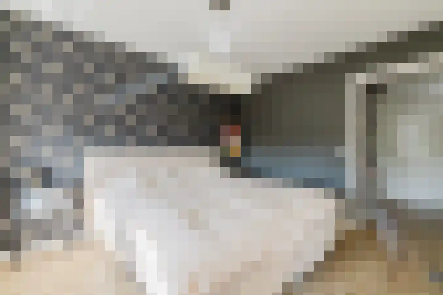 Wielewaal 19 Zundert thumbnail 31