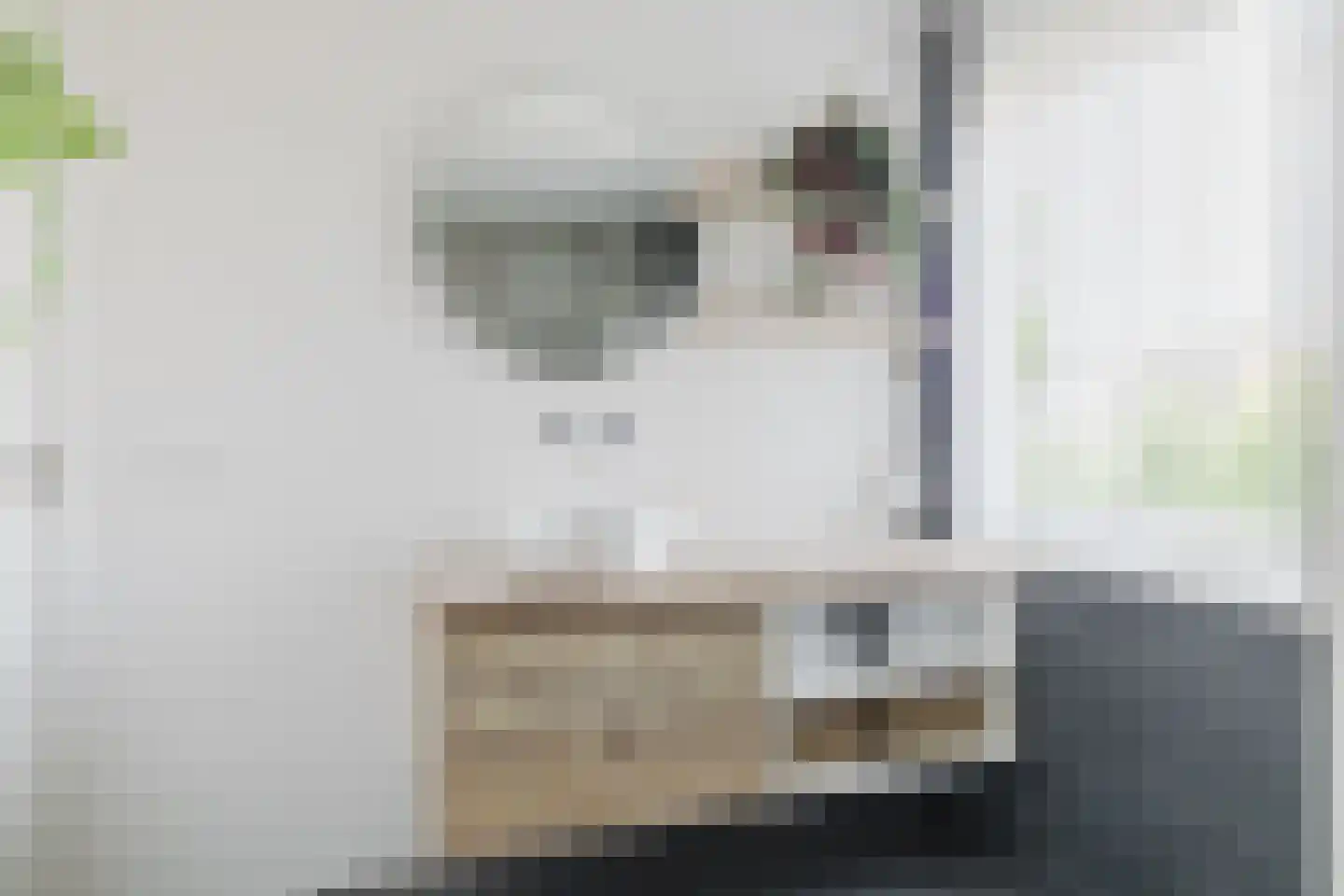 Wielewaal 19 Zundert thumbnail 33