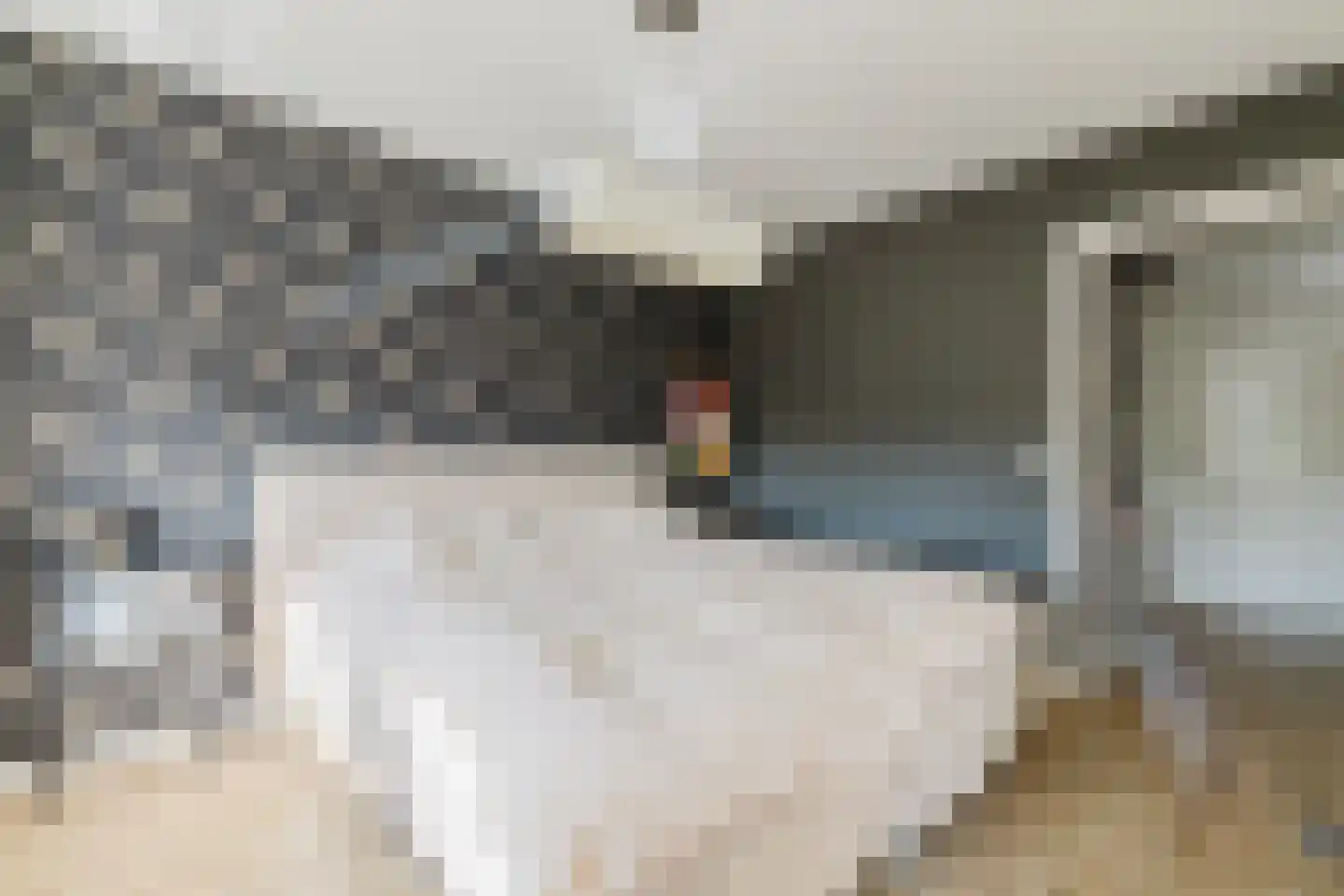 Wielewaal 19 Zundert thumbnail 4