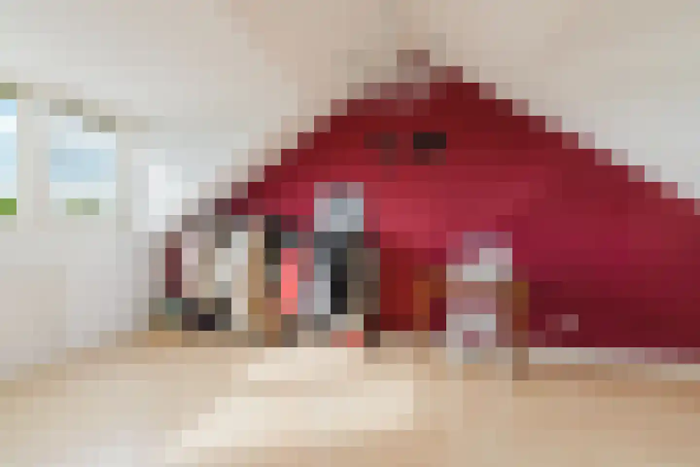 Wielewaal 19 Zundert thumbnail 40