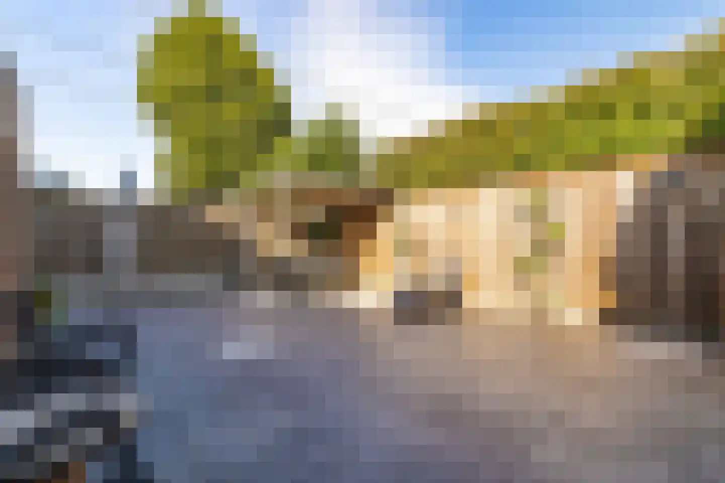 Wielewaal 19 Zundert thumbnail 43