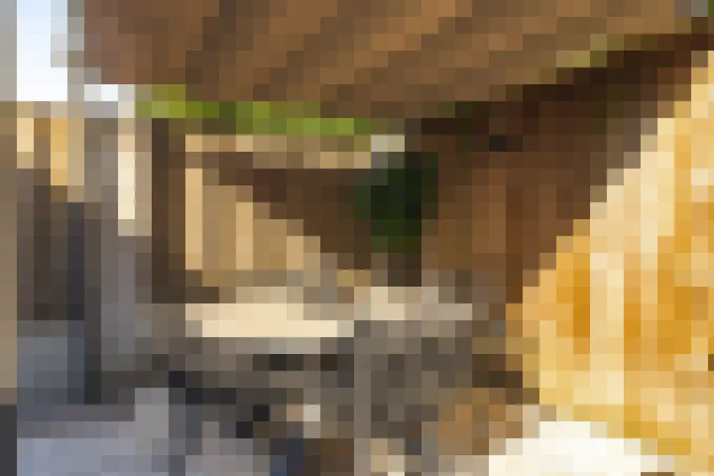 Wielewaal 19 Zundert thumbnail 44