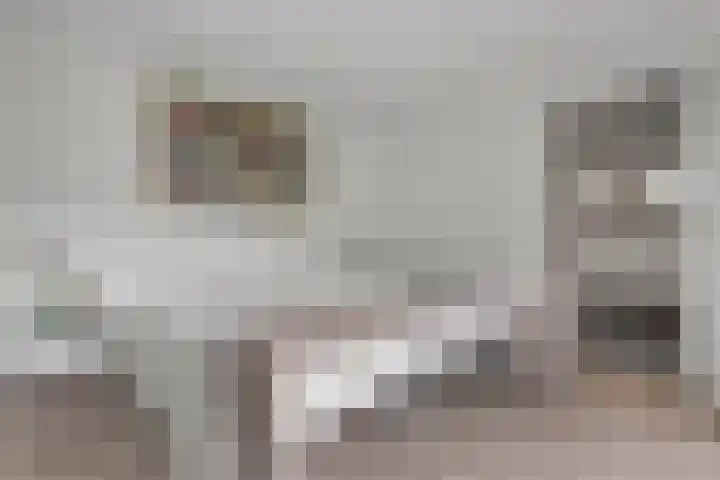 Wielewaal 23 Vught thumbnail 19