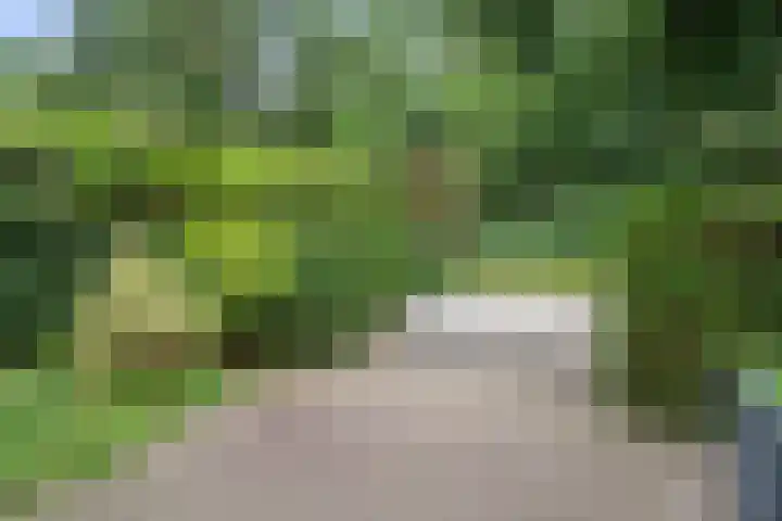 Wielewaal 23 Vught thumbnail 30