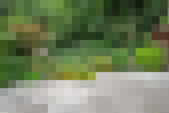 Wielewaal 23 Vught thumbnail 31