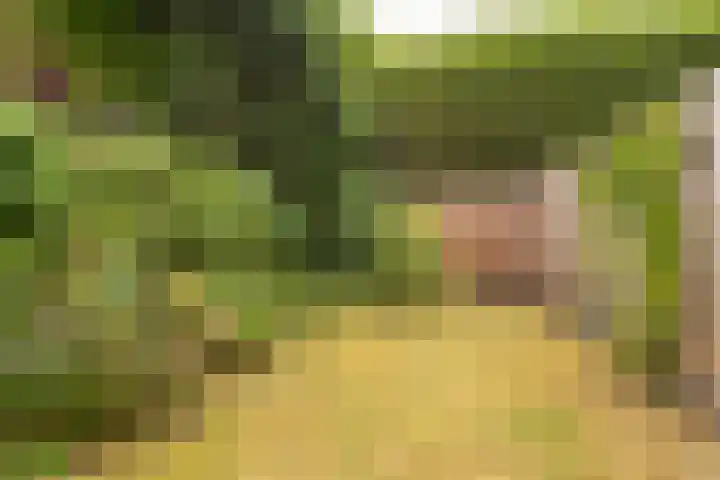 Wielewaal 24 Nieuwegein thumbnail 11
