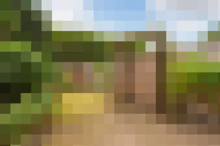 Wielewaal 24 Nieuwegein thumbnail 12