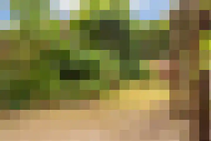 Wielewaal 24 Nieuwegein thumbnail 13