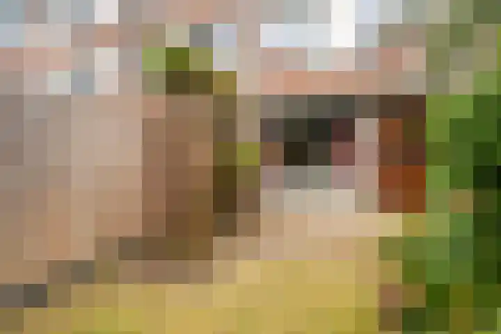 Wielewaal 24 Nieuwegein thumbnail 14